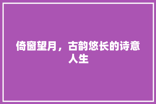 倚窗望月，古韵悠长的诗意人生