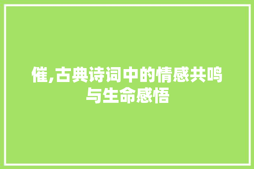 催,古典诗词中的情感共鸣与生命感悟