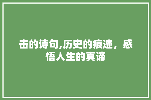 击的诗句,历史的痕迹，感悟人生的真谛