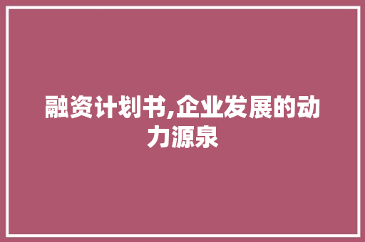 融资计划书,企业发展的动力源泉