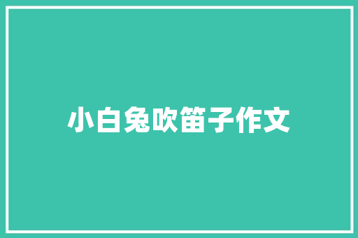 精准流量计划,助力企业品牌腾飞的新引擎