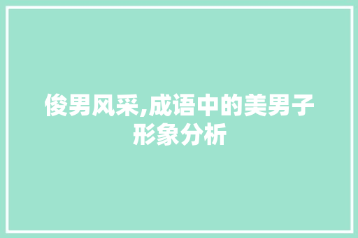 俊男风采,成语中的美男子形象分析 工作报告