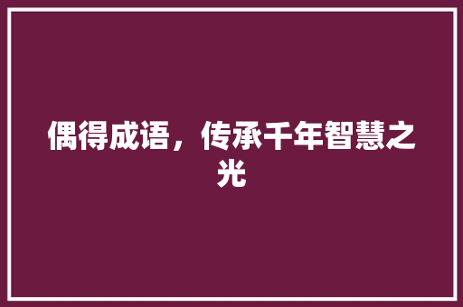 偶得成语，传承千年智慧之光 采访稿