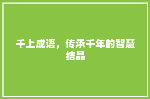 千上成语，传承千年的智慧结晶