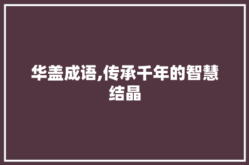 华盖成语,传承千年的智慧结晶