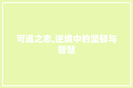 可遏之志,逆境中的坚韧与智慧 工作类