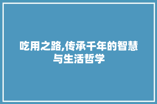 吃用之路,传承千年的智慧与生活哲学
