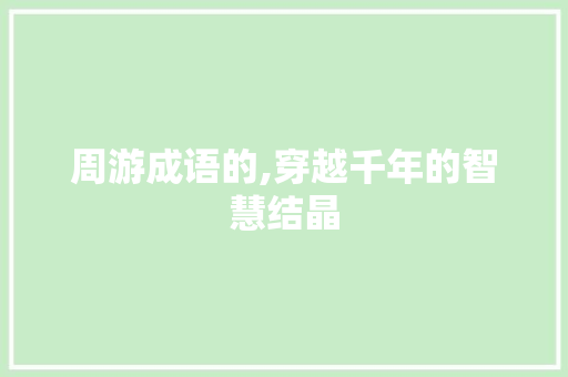 周游成语的,穿越千年的智慧结晶