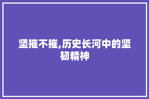 坚摧不摧,历史长河中的坚韧精神