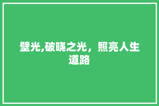 壁光,破晓之光，照亮人生道路