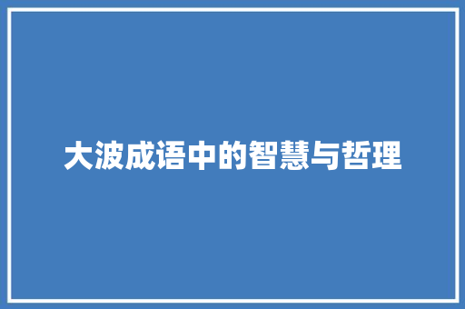 大波成语中的智慧与哲理