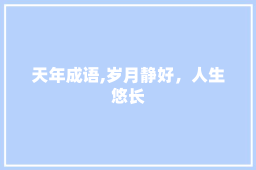天年成语,岁月静好，人生悠长