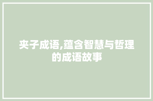 夹子成语,蕴含智慧与哲理的成语故事