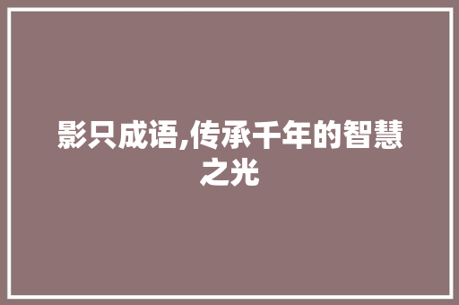 影只成语,传承千年的智慧之光