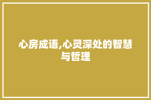 心房成语,心灵深处的智慧与哲理