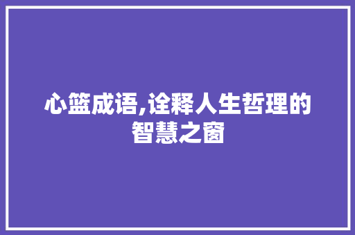 心篮成语,诠释人生哲理的智慧之窗