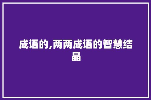 成语的,两两成语的智慧结晶