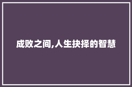 成败之间,人生抉择的智慧