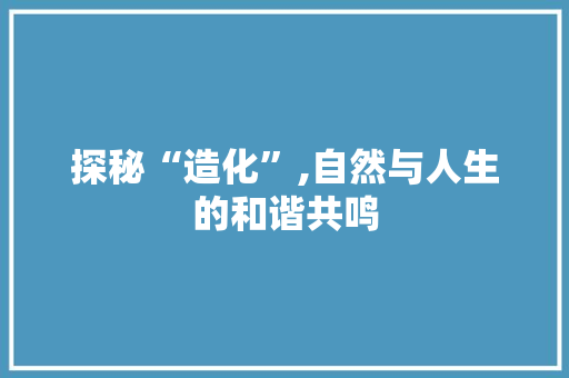 探秘“造化”,自然与人生的和谐共鸣
