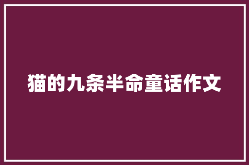 精简创业计划,聚焦核心，高效启动