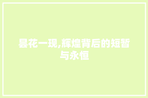 昙花一现,辉煌背后的短暂与永恒