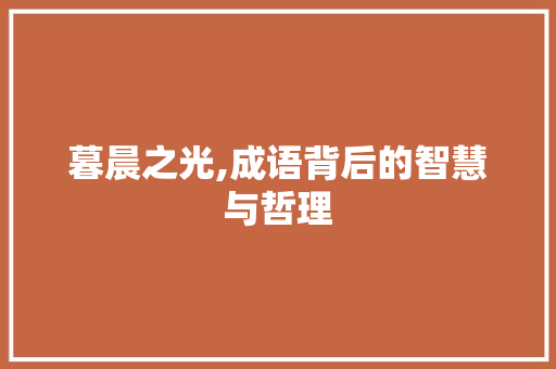 暮晨之光,成语背后的智慧与哲理 生活类