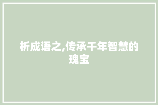 析成语之,传承千年智慧的瑰宝