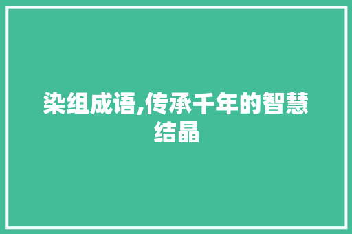 染组成语,传承千年的智慧结晶