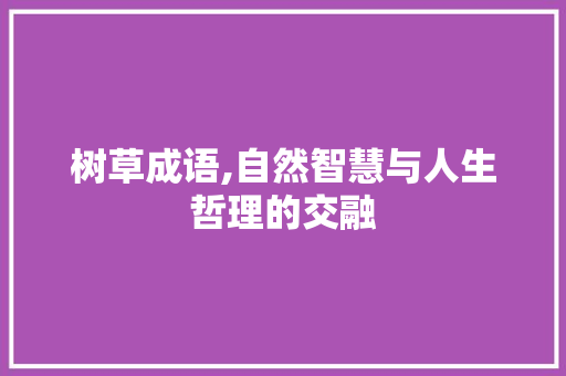 树草成语,自然智慧与人生哲理的交融