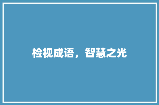检视成语，智慧之光