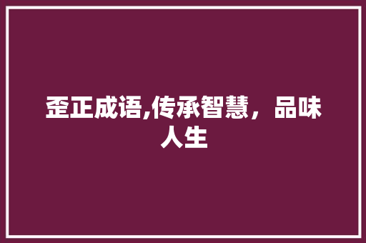 歪正成语,传承智慧，品味人生