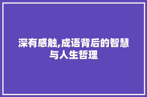 深有感触,成语背后的智慧与人生哲理 特写稿