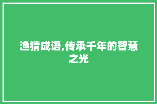 渔猜成语,传承千年的智慧之光