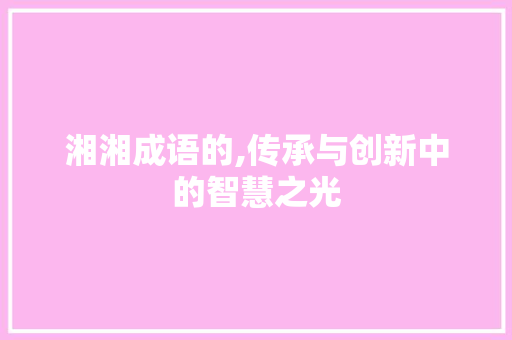 湘湘成语的,传承与创新中的智慧之光