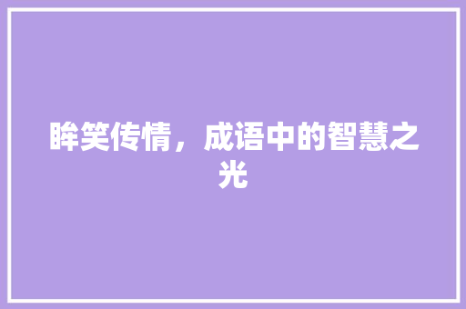 眸笑传情，成语中的智慧之光