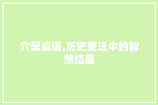 穴巢成语,历史变迁中的智慧结晶
