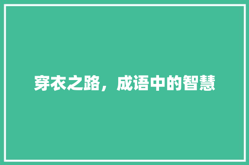穿衣之路，成语中的智慧 生活类
