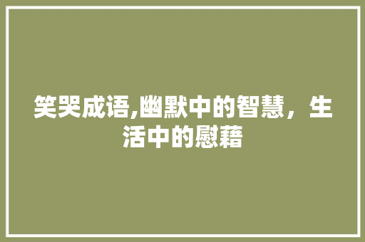 笑哭成语,幽默中的智慧，生活中的慰藉