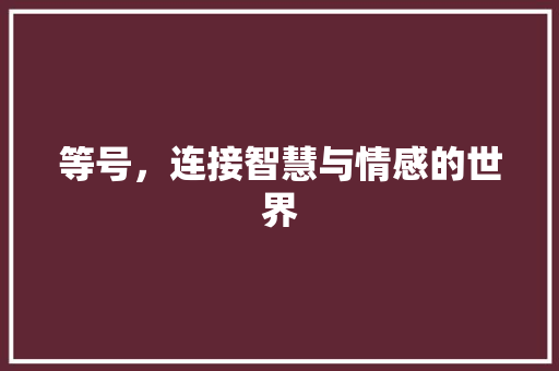 等号，连接智慧与情感的世界 生活随笔