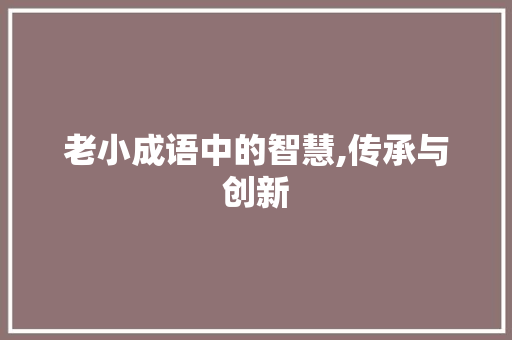 老小成语中的智慧,传承与创新