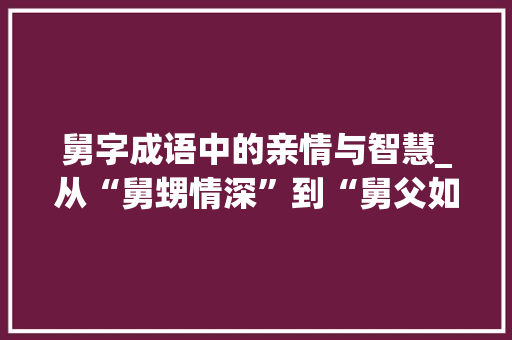 舅字成语中的亲情与智慧_从“舅甥情深”到“舅父如山” 采访稿