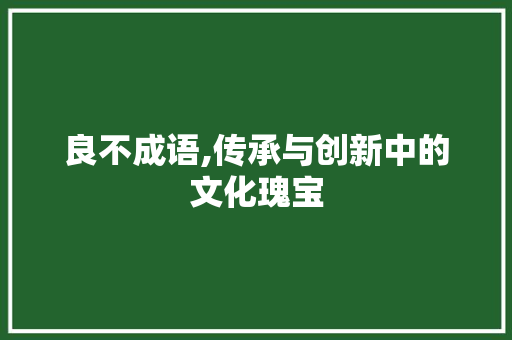 良不成语,传承与创新中的文化瑰宝
