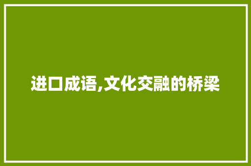 进口成语,文化交融的桥梁