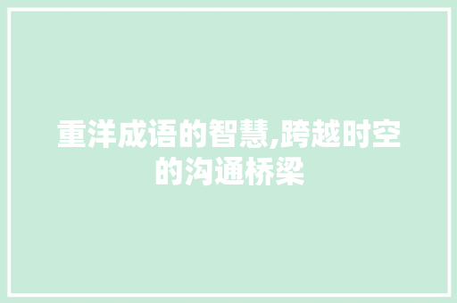 重洋成语的智慧,跨越时空的沟通桥梁