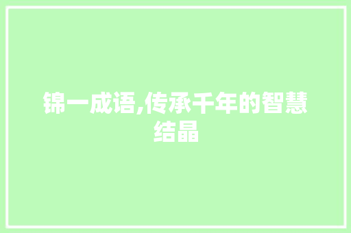 锦一成语,传承千年的智慧结晶