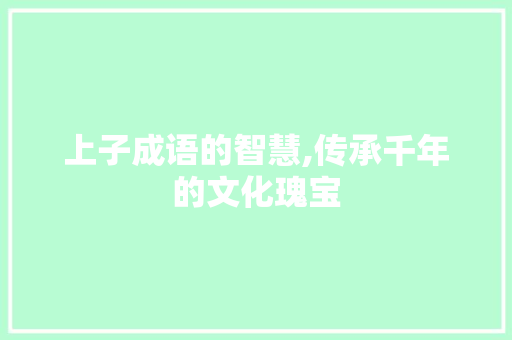 上子成语的智慧,传承千年的文化瑰宝 特写稿