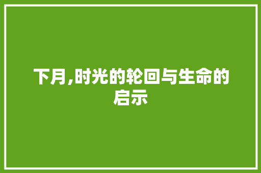 下月,时光的轮回与生命的启示