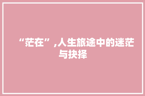 “茫在”,人生旅途中的迷茫与抉择 工作类