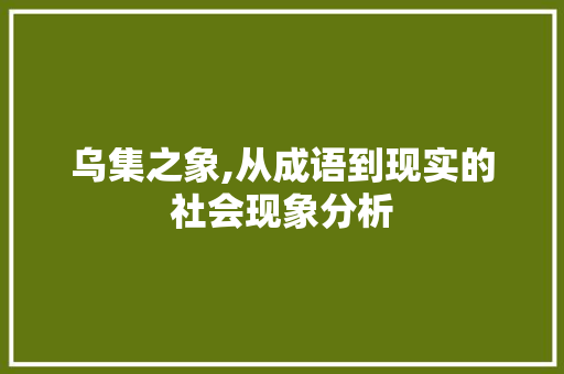 乌集之象,从成语到现实的社会现象分析