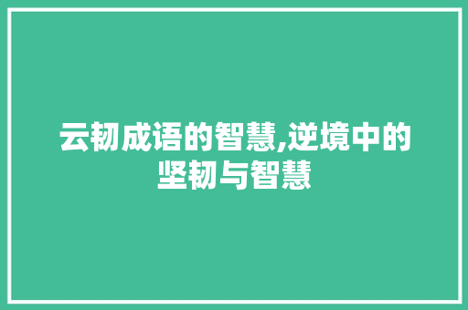 云韧成语的智慧,逆境中的坚韧与智慧